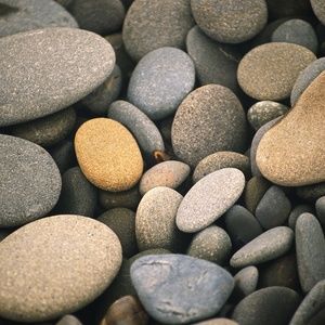 Meet your Posher, Curt